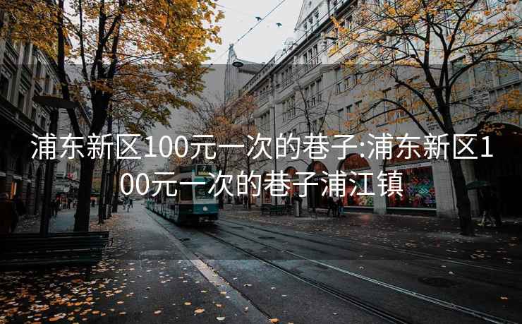 浦东新区100元一次的巷子:浦东新区100元一次的巷子浦江镇