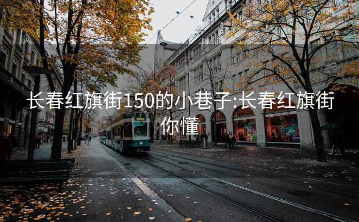 长春红旗街150的小巷子:长春红旗街你懂