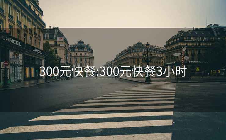 300元快餐:300元快餐3小时