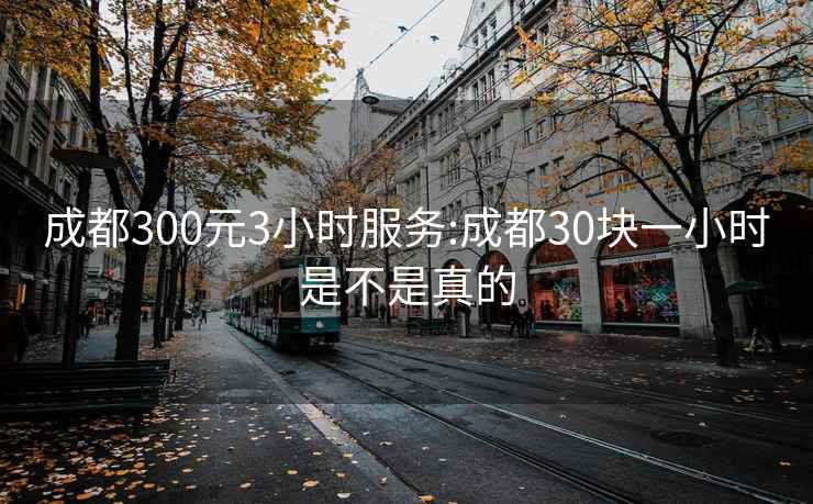 成都300元3小时服务:成都30块一小时是不是真的