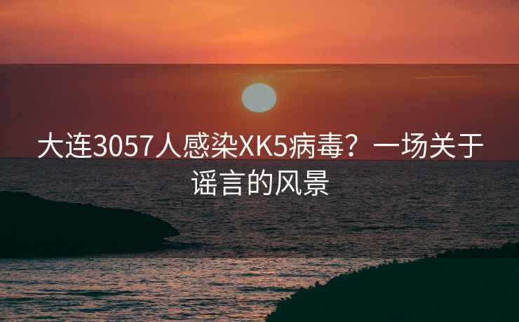 大连3057人感染XK5病毒？一场关于谣言的风景