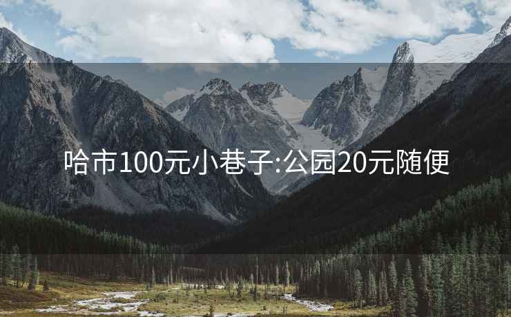 哈市100元小巷子:公园20元随便