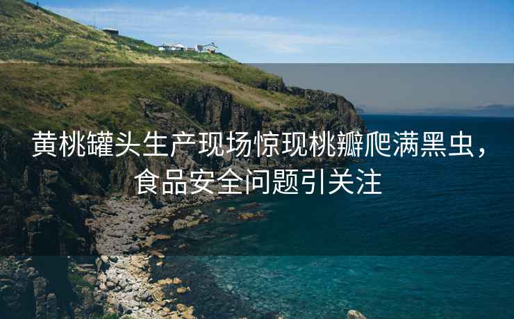 黄桃罐头生产现场惊现桃瓣爬满黑虫，食品安全问题引关注