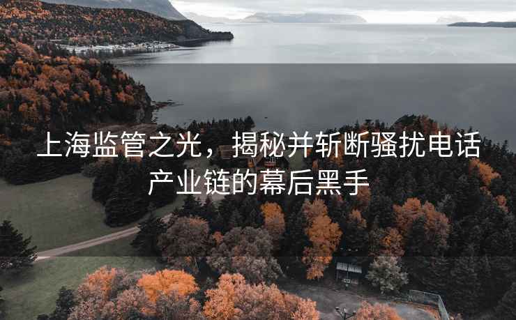 上海监管之光，揭秘并斩断骚扰电话产业链的幕后黑手