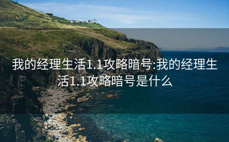 我的经理生活1.1攻略暗号:我的经理生活1.1攻略暗号是什么