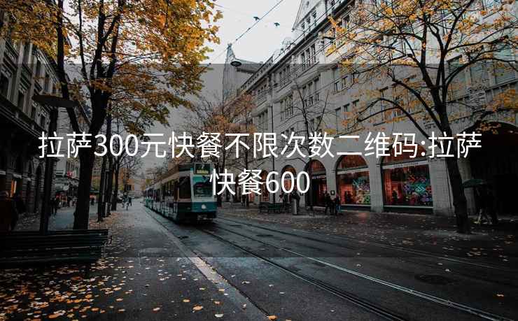 拉萨300元快餐不限次数二维码:拉萨快餐600