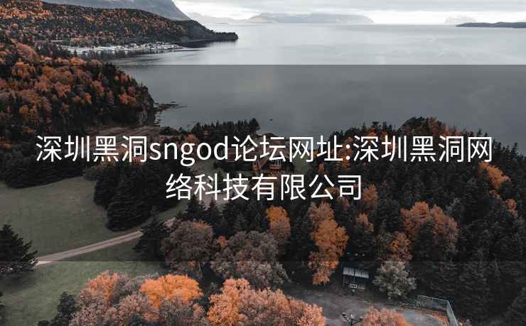 深圳黑洞sngod论坛网址:深圳黑洞网络科技有限公司