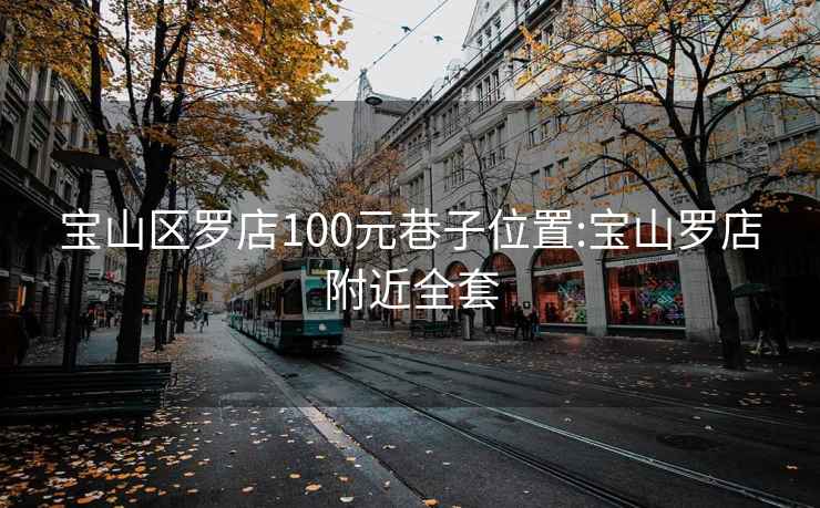 宝山区罗店100元巷子位置:宝山罗店附近全套