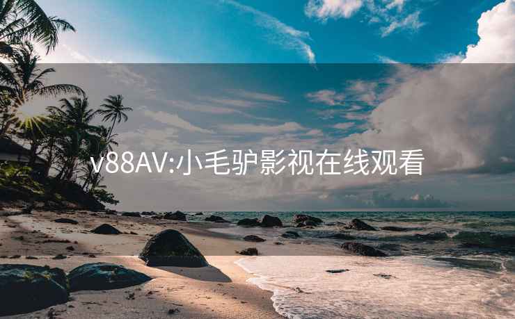 v88AV:小毛驴影视在线观看