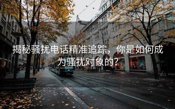 揭秘骚扰电话精准追踪，你是如何成为骚扰对象的？