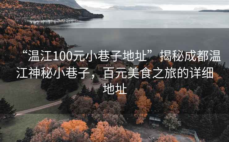 “温江100元小巷子地址”揭秘成都温江神秘小巷子，百元美食之旅的详细地址