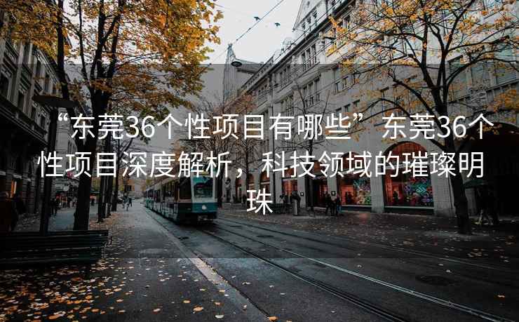 “东莞36个性项目有哪些”东莞36个性项目深度解析，科技领域的璀璨明珠