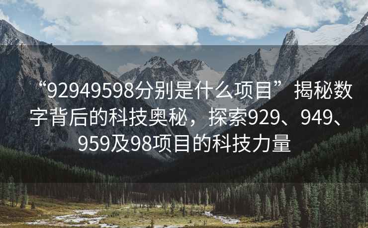 “92949598分别是什么项目”揭秘数字背后的科技奥秘，探索929、949、959及98项目的科技力量