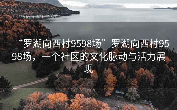 “罗湖向西村9598场”罗湖向西村9598场，一个社区的文化脉动与活力展现