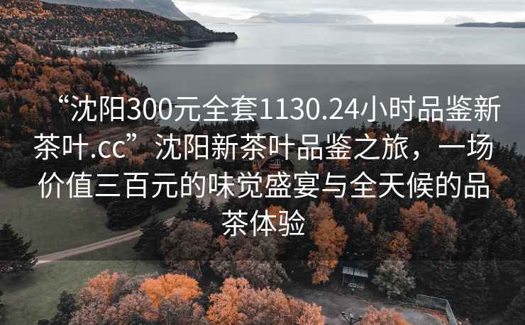 “沈阳300元全套1130.24小时品鉴新茶叶.cc”沈阳新茶叶品鉴之旅，一场价值三百元的味觉盛宴与全天候的品茶体验