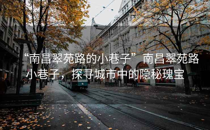 “南昌翠苑路的小巷子”南昌翠苑路小巷子，探寻城市中的隐秘瑰宝