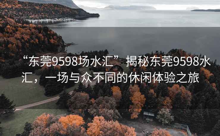 “东莞9598场水汇”揭秘东莞9598水汇，一场与众不同的休闲体验之旅