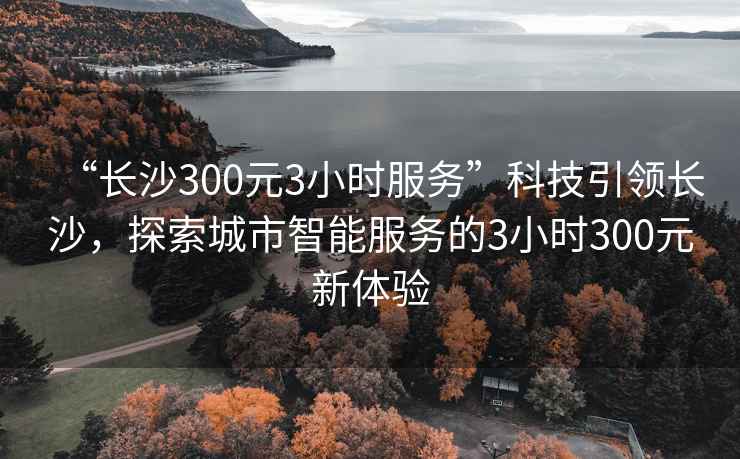 “长沙300元3小时服务”科技引领长沙，探索城市智能服务的3小时300元新体验