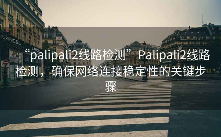 “palipali2线路检测”Palipali2线路检测，确保网络连接稳定性的关键步骤