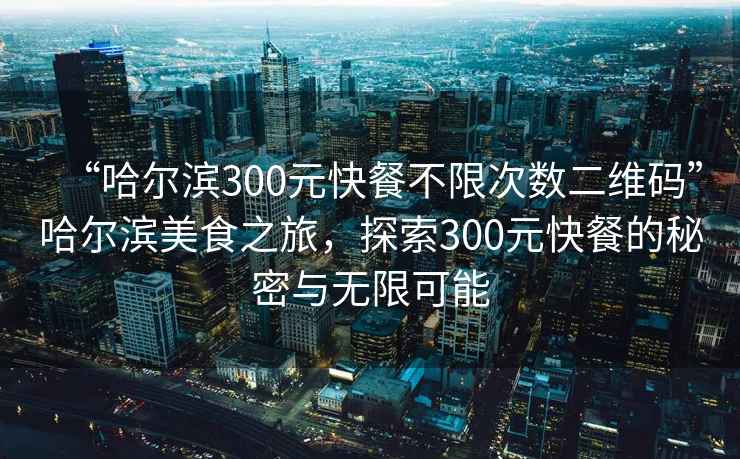 “哈尔滨300元快餐不限次数二维码”哈尔滨美食之旅，探索300元快餐的秘密与无限可能