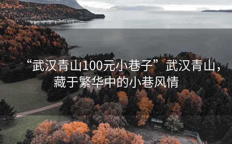 “武汉青山100元小巷子”武汉青山，藏于繁华中的小巷风情