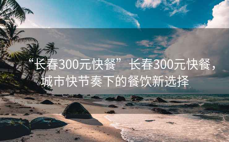 “长春300元快餐”长春300元快餐，城市快节奏下的餐饮新选择