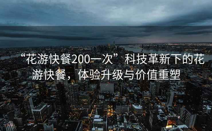 “花游快餐200一次”科技革新下的花游快餐，体验升级与价值重塑